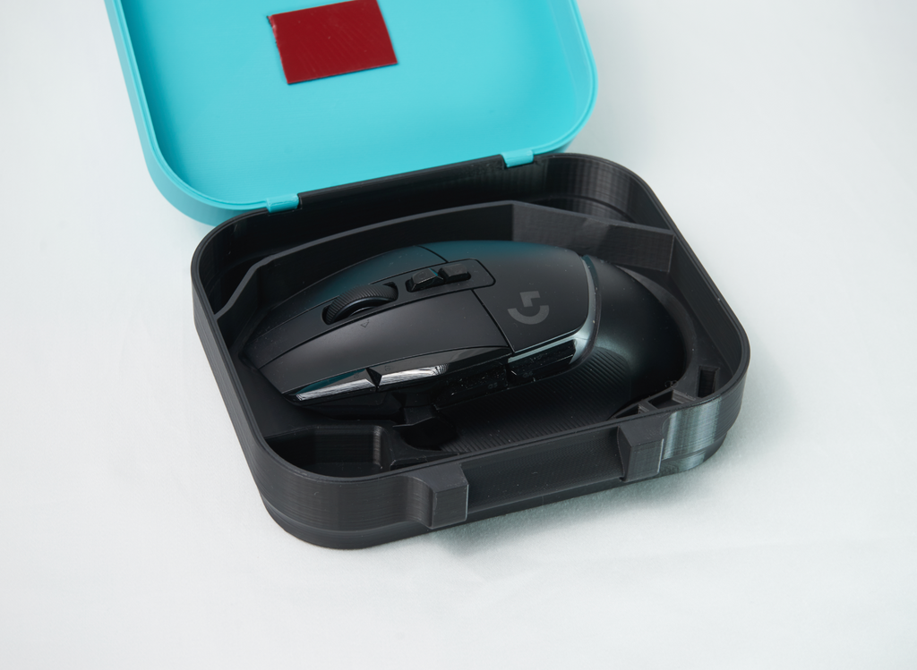 Custom Mouse Travel Case