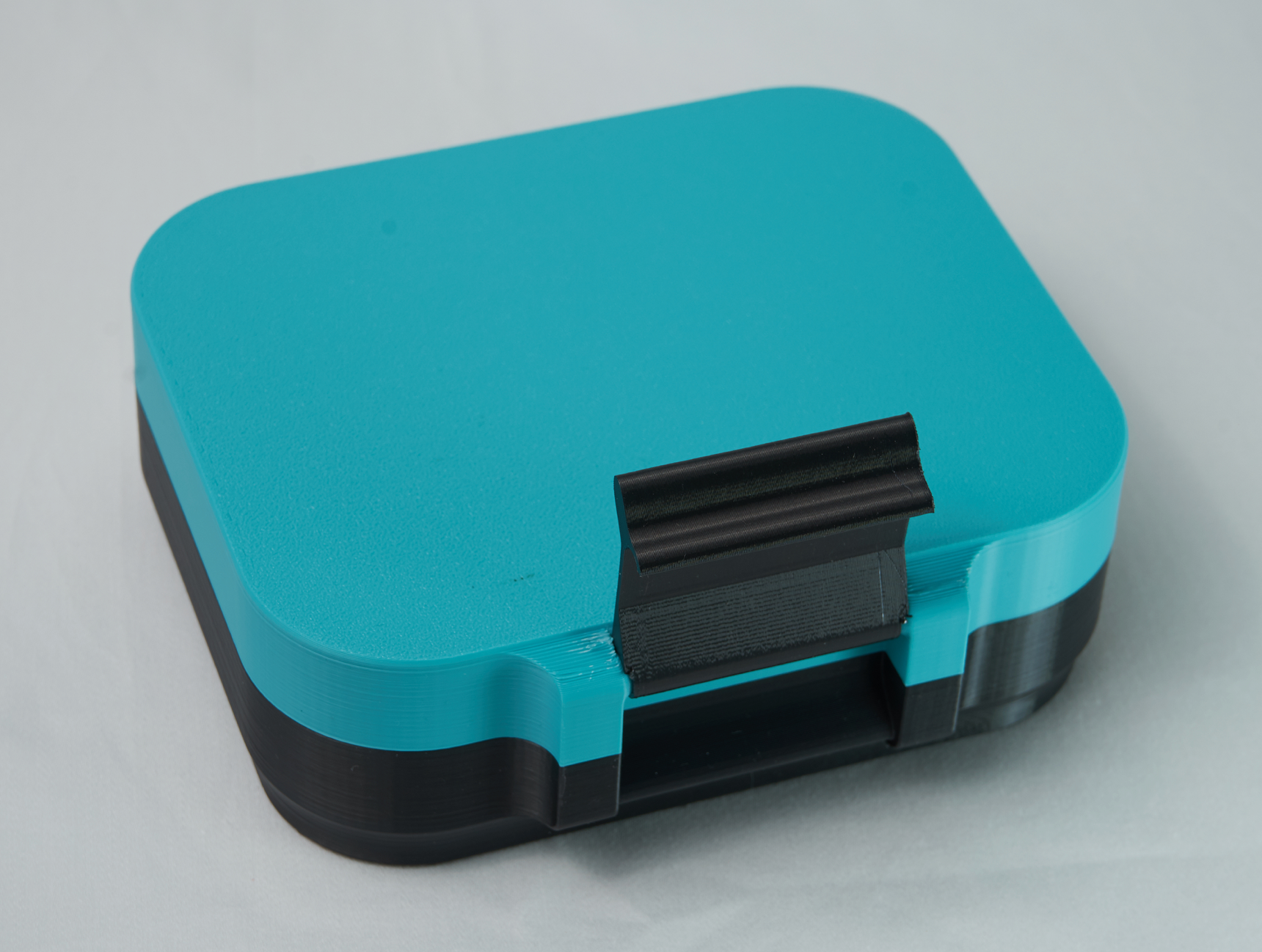 Custom Mouse Travel Case