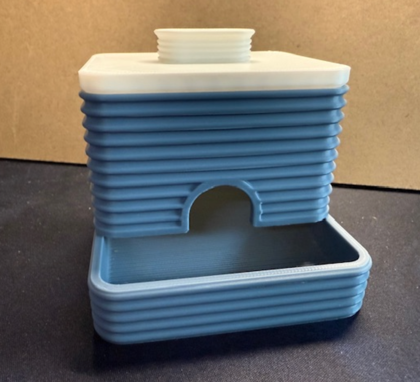 Cotton Bud Dispenser